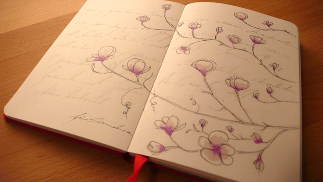 Magnolien