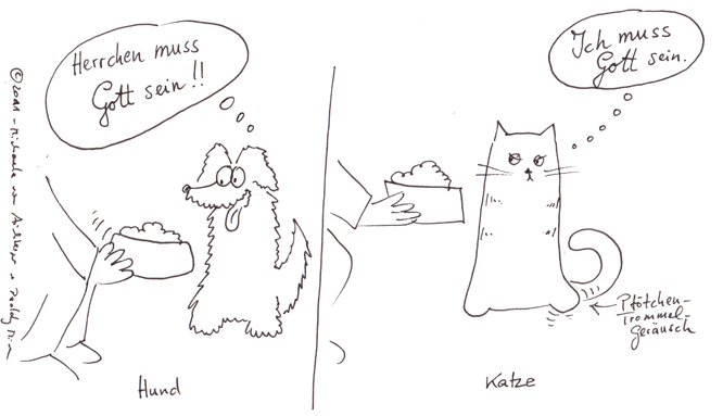 Hunde und Katzen